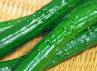 kateisaien_mi_p_02 実を食べる野菜