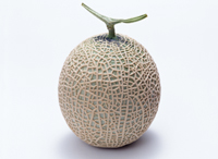 kateisaien_mi_p_05 実を食べる野菜