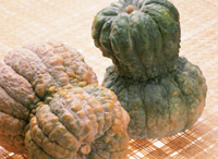mi15 実を食べる野菜
