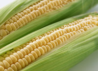 mi3 実を食べる野菜