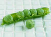 mi9 実を食べる野菜