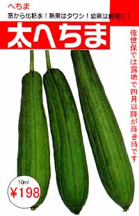 太へちま 市川種苗店 太へちま 市川種苗店