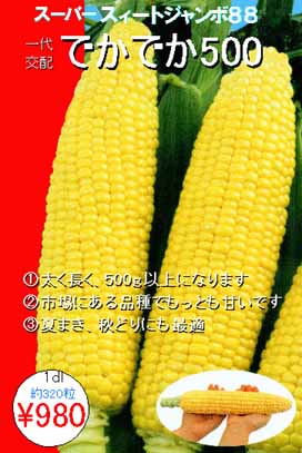 11105331