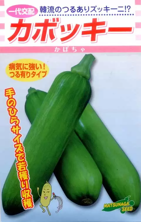 一代交配 カボッキー つるありズッキーニ南瓜 市川種苗店