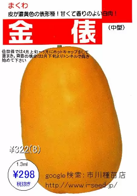 金俵まくわ（瓜） - 市川種苗店