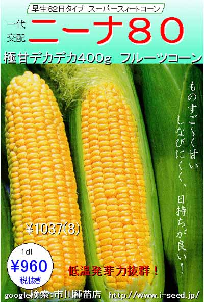 11113152