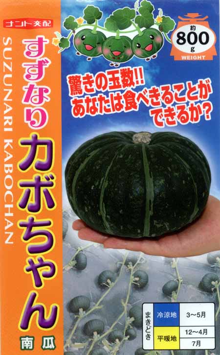 一代交配 すずなりカボちゃん 南瓜 市川種苗店 一代交配 すずなりカボちゃん 南瓜 市川種苗店
