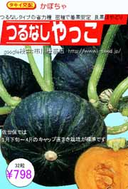 タキイ交配 つるなしやっこ カボチャ 市川種苗店