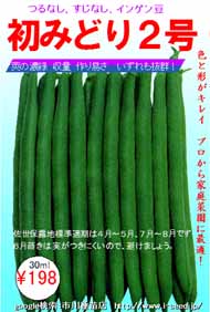 タキイ 初みどり2号 つるなしインゲン 市川種苗店 タキイ 初みどり2号 つるなしインゲン 市川種苗店
