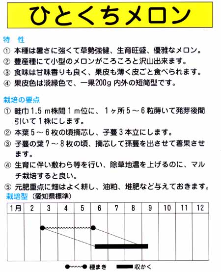 ひとくちメロン ミニメロン 市川種苗店