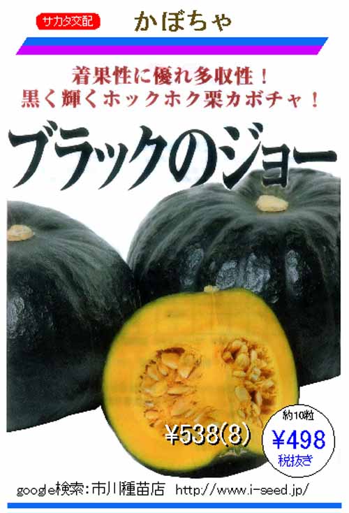 サカタ交配 ブラックのジョー南瓜 カボチャ 市川種苗店