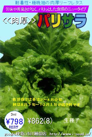 パリサラレタス リーフレタス 市川種苗店