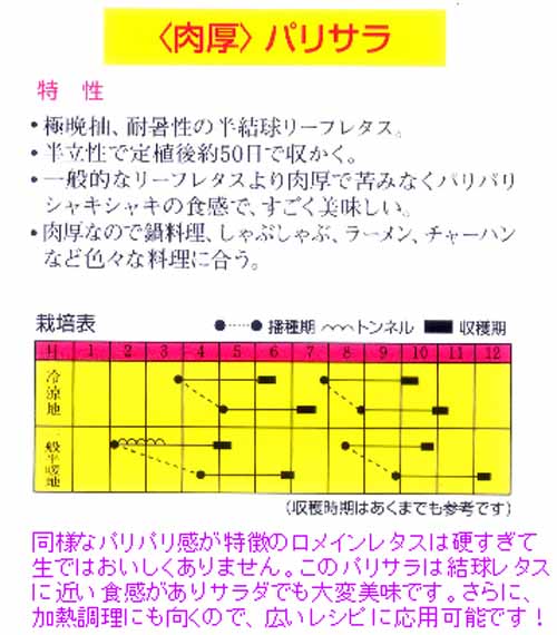 パリサラレタス リーフレタス 市川種苗店