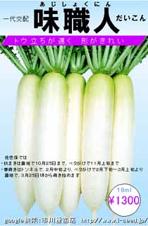 13104300