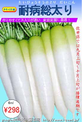タキイ交配 耐病総太り大根 市川種苗店 タキイ交配 耐病総太り大根 市川種苗店
