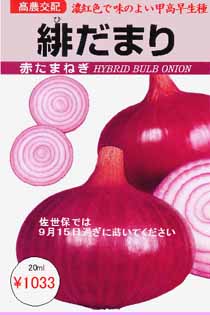 一代交配 緋だまり 赤玉葱 市川種苗店 一代交配 緋だまり 赤玉葱 市川種苗店