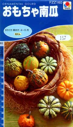 タキイ おもちゃ南瓜 小袋 市川種苗店