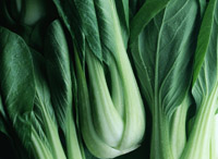 ha2 葉を食べる野菜